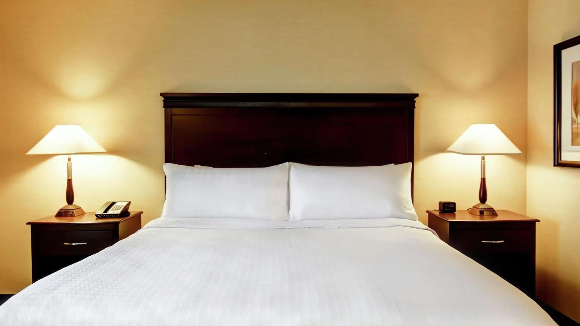 Homewood Suites By Hilton Toronto Airport Corporate Centre Hotel