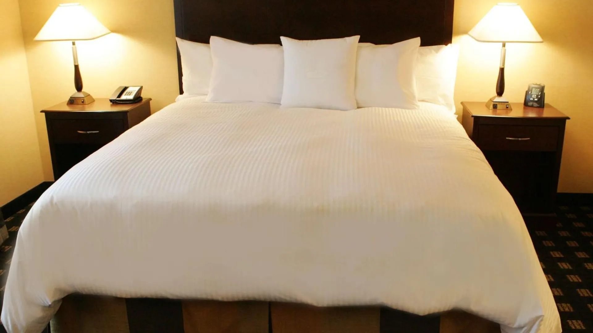 Homewood Suites By Hilton Toronto Airport Corporate Centre Canada