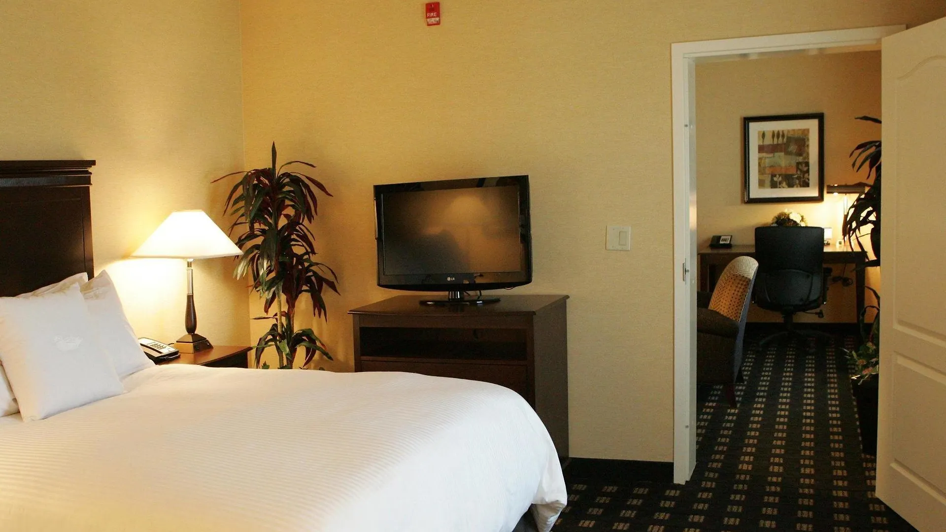 Hotel Homewood Suites By Hilton Toronto Airport Corporate Centre